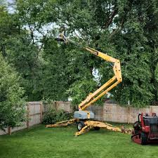 Seasonal Cleanup (Spring/Fall) in Tukwila, WA